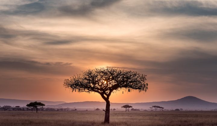 Serengeti Unsplash