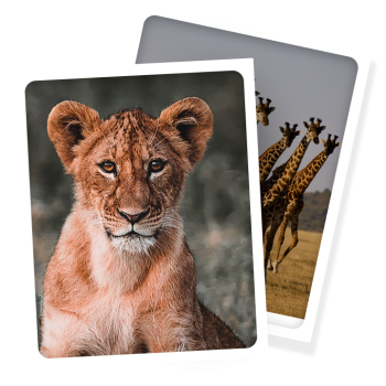 Tanzania-Photographic-safari